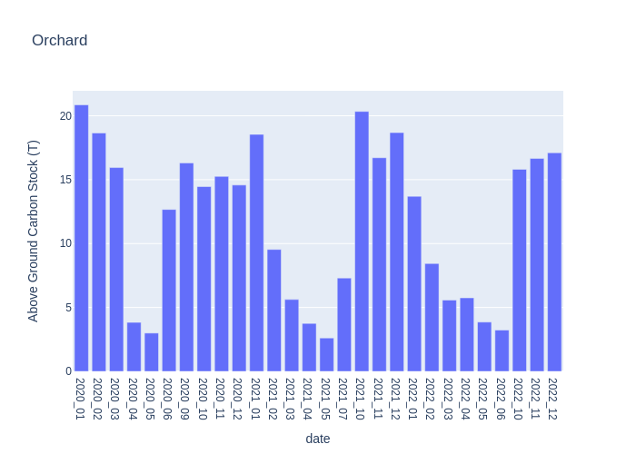 Monthly above-ground biomass stock chart for the Orchard plantation