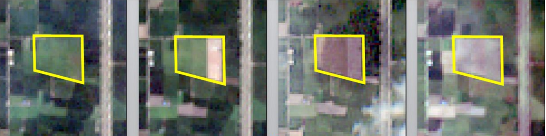 Four anonymized satellite observations of the same agricultural plot on 1, 6, 11 and 21 September 2022
