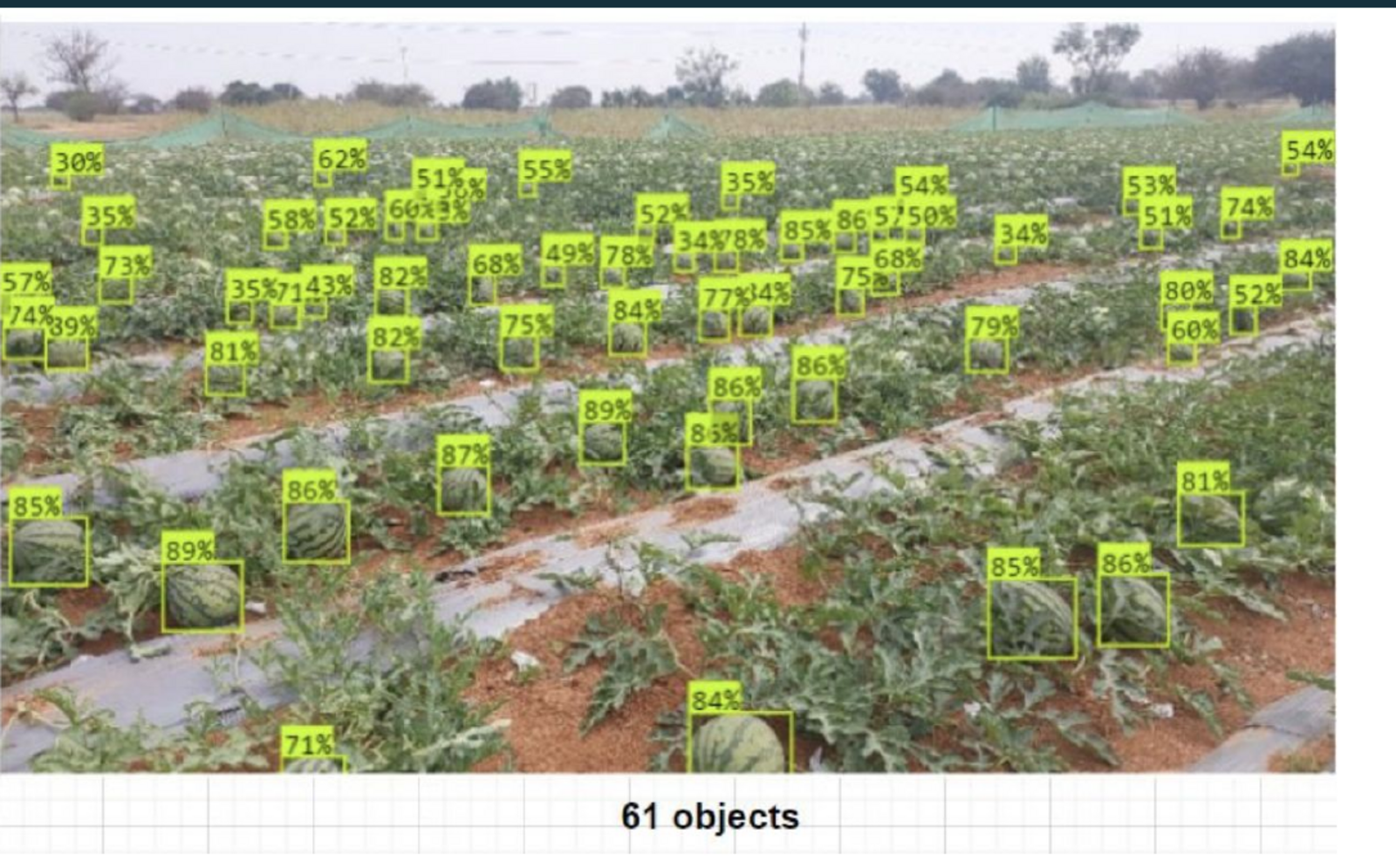 Vision model output detecting plants and fruits across a field