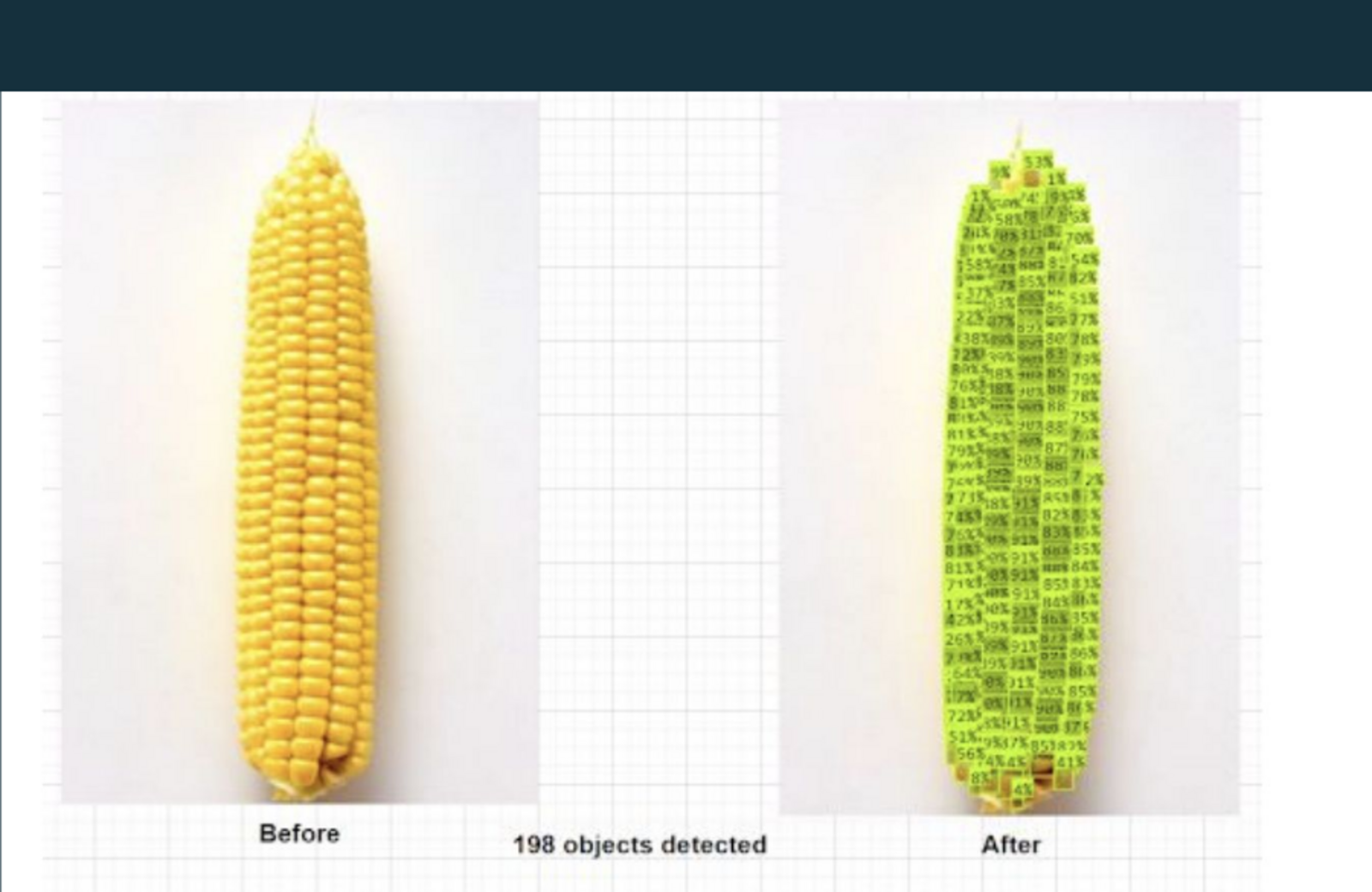 Vision model output counting kernels on a corn cob